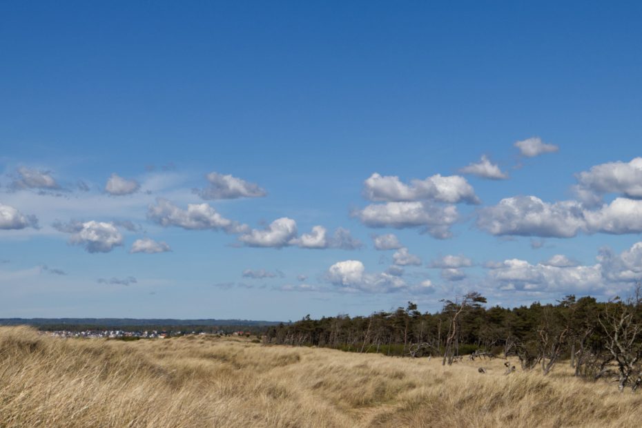 molnigt ängelholm sommar