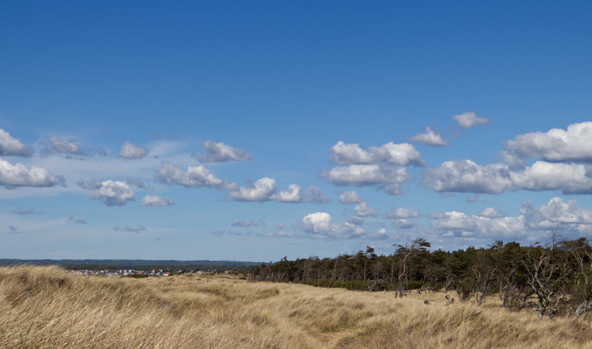 molnigt ängelholm sommar