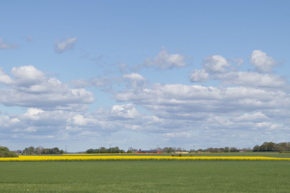 sol sommar äng moln