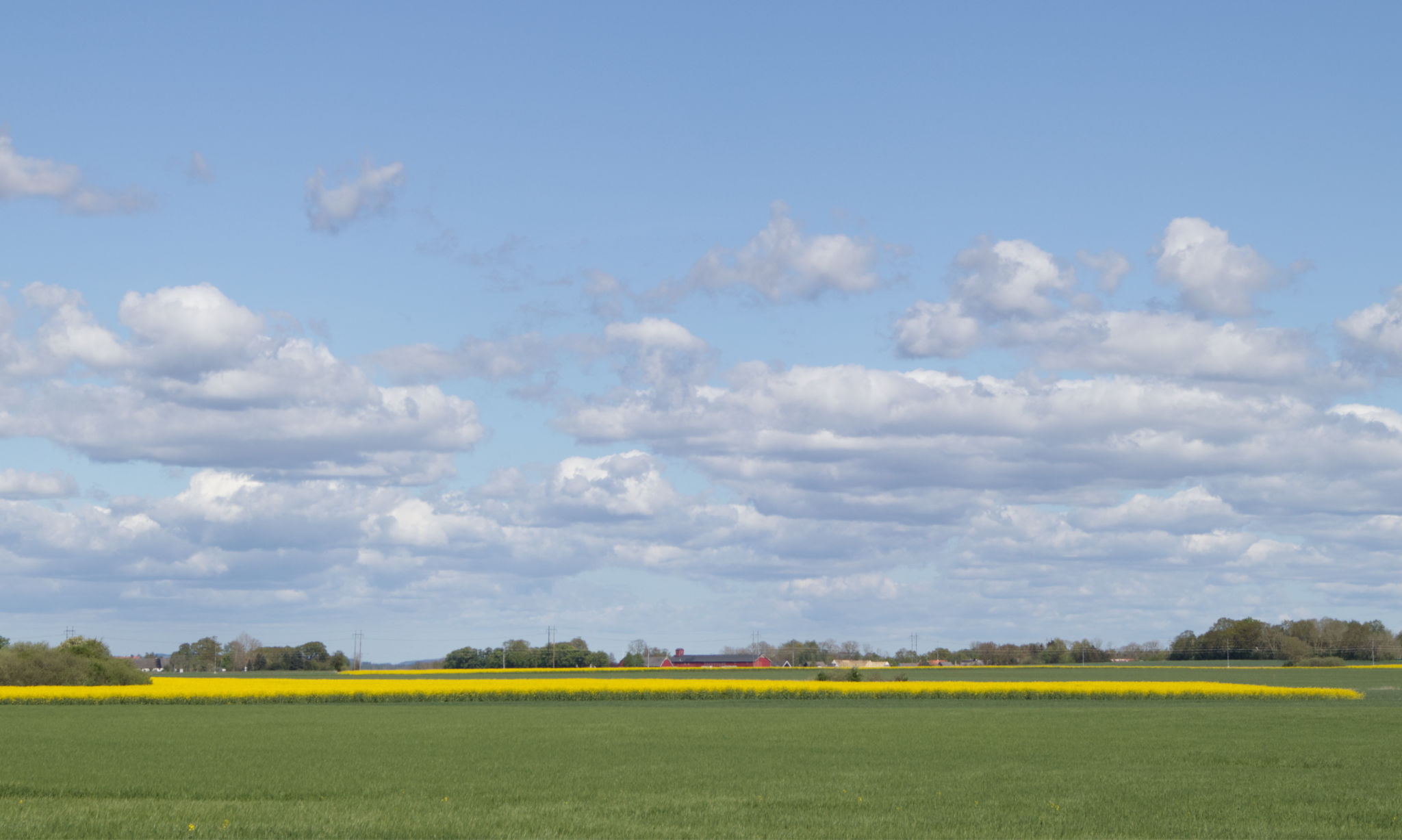 sol sommar äng moln