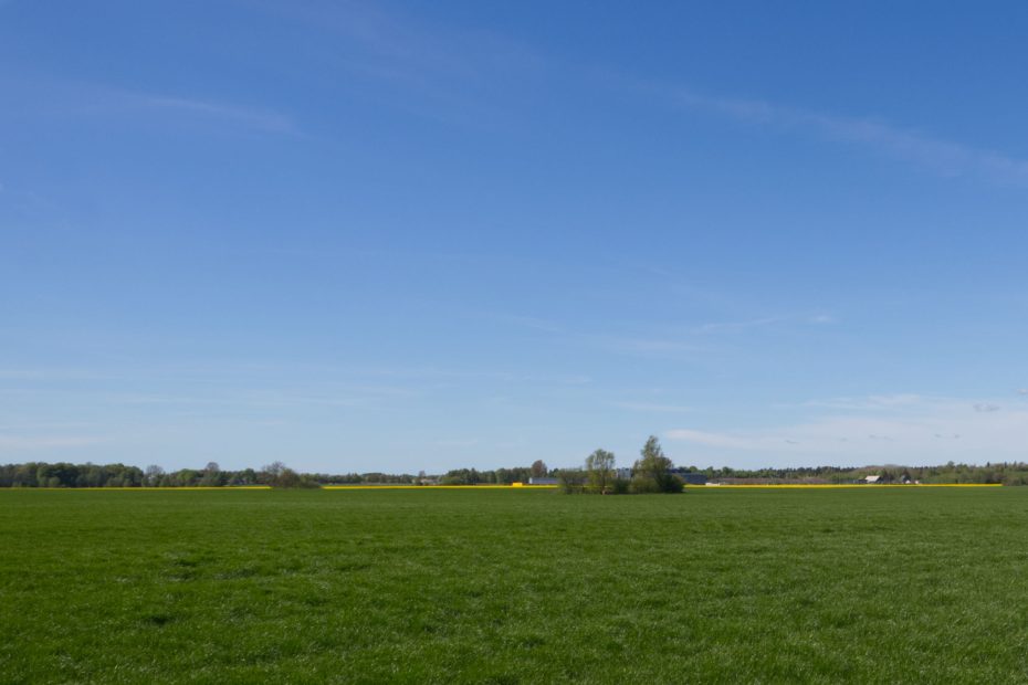 Klart sol sommar