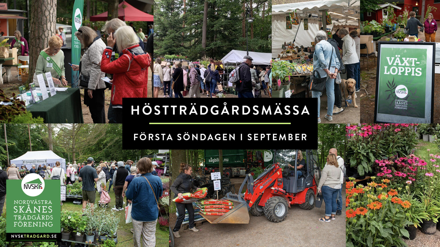 höstträdgårdsmässan